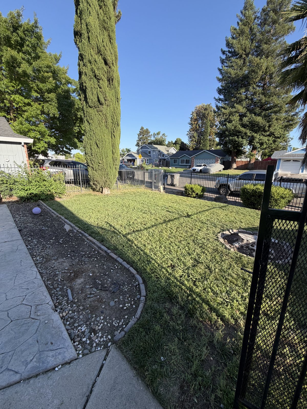 Well-maintained front-yard lawn with a stamped-concrete walk
